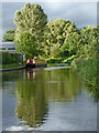 Canal approaching Radford Bank in Stafford