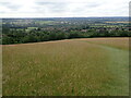 View from the North Downs above Kemsing