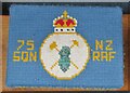 75SQN NZRAF