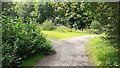 Junction of footpaths at north end of Engine Lonning