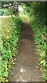 Looking east along former trackbed of dismantled railway