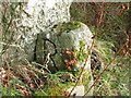 Old Boundary Marker on Auchtermuchty Common