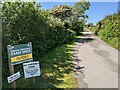 The lane to Higher Trenowin Farm