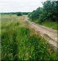 Track north of Ballochney Road