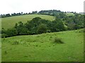 Farmland and Tog Hill