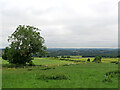 NZ2340 : Brandon Village: view towards Durham by John Sutton