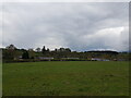 Field at Frongoch