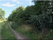 SK4934 : Path on Toton Manor Farm Local Nature Reserve by David Lally