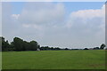 Field near Longfield Grange