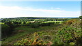 View towards Caldy Hill from Thurstaston Hill