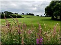 Drumconnelly Townland