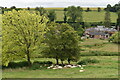 Valley view, Ebbesbourne Wake