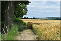 Footpath above Sutton Mandeville