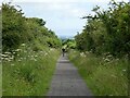 Cyclist on Bowes Railway Path