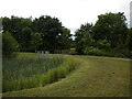 Open space off Beck Crescent, Loughborough