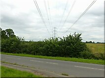 SK6845 : Pylons from the Caythorpe Road by Alan Murray-Rust