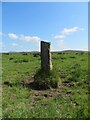 SX1274 : Old Boundary Marker on Manor Common, Blisland by P G Moore