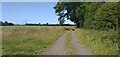 NZ1877 : Farm track near Bellasis Farm by Colin Kinnear