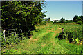 An open field, Ballynamullan