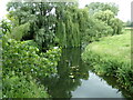 TL8838 : River Stour at Henny Street by Geographer