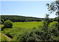 Ghyll Beck Golf Driving Range, Baildon