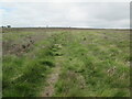 Footpath on  Hutton  Ridge