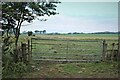 Field access at Auchenharvie Bridge