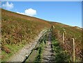 NY2825 : The Cumbria Way near Whit Beck by Adrian Taylor