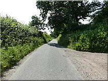 TG2037 : Road to Metton near Hall Farm by David Pashley