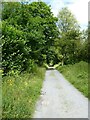 Former railway trackbed at Cors Caron