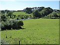 The Teifi valley