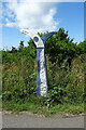 Millennium Milepost