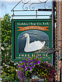 The Swan Inn (sign) in Stone, Staffordshire