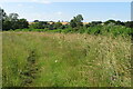 Bridleway into Little Compton