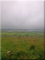 View towards reservoir from Carnmenellis