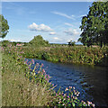 River Trent near Stone in Staffordshire