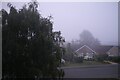 TF0820 : Misty morning by Bob Harvey