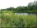 NS6268 : Pond, Robroyston Park by Richard Sutcliffe