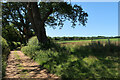 Footpath from Itteringham