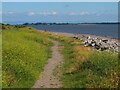 Annandale Way by the Solway Firth