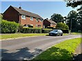 Houses in Field Road