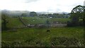 Fields by the Ffestiniog Railway