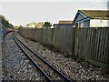 TR1434 : View from a Romney-Dungeness train - Passing back gardens in Shepherd's Walk by Nigel Thompson