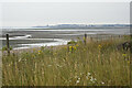 On the shore at Seasalter