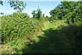 Footpath towards the manor house