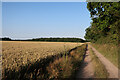 TG0431 : Footpath along farm track by Hugh Venables