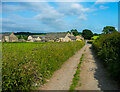 Thurgory Lane, Lepton