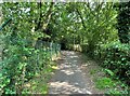 The Hatches - footpath to Frimley Green