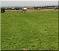 NS8552 : View to Bowridge Farm by Jim Smillie