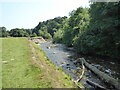 The Afon Ceiriog at Chirk